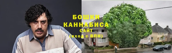 гидра Дмитровск