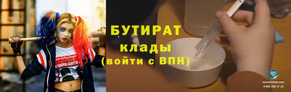 прущие грибы Вязники