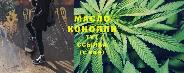 сатива Вязьма