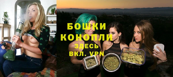 сатива Вязьма