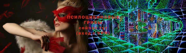 ECSTASY Дмитров